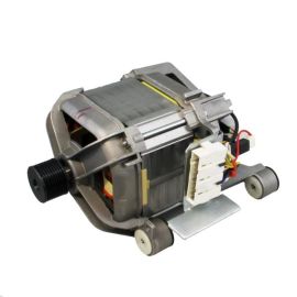 Washing Machine Motor