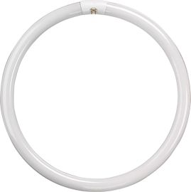 Jegs 22W T9 Triphosphor Circular Tube Coolwhite