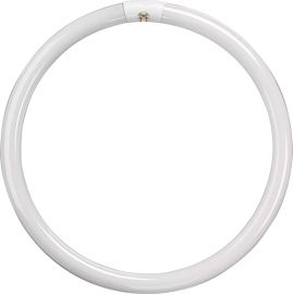Jegs 60W Triphosphor Circular Tube Coolwhite