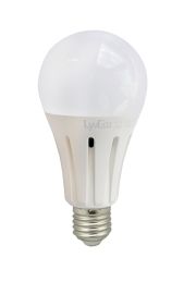 Lyveco ES 20W Led 240V A70/GLS Cool White