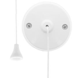 Jegs Asta Appved 6 Amp 2 Way Ceiling Pull Switch